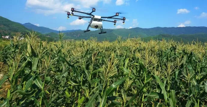 Cultivating the Future with Precision Agriculture